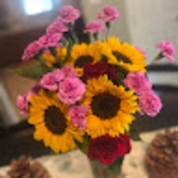 morgan_kuntz_